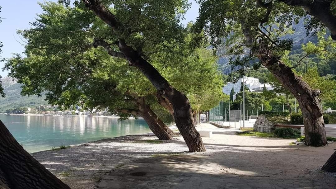 Apartmants Villa Lungo Mare Živogošće Kültér fotó